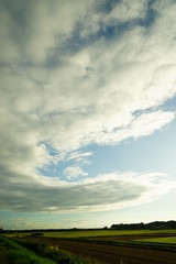 Fototapeta na wymiar 大きな雲と田園