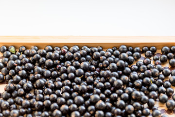 Heap of black currant. Textured background.Summer healthy food. Juicy natural fruit. vitamins and berries.Copy space