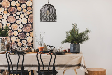 Black chairs and pendant lamp in dining room