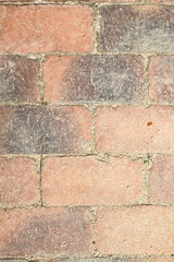pavés de terre cuite, jardin