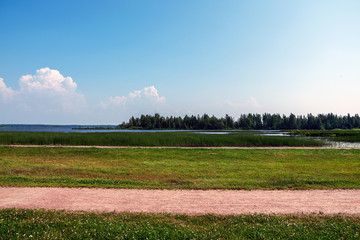 green grass on the lake on a summer day