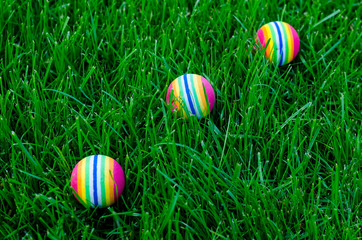 Colored little balls for cats, dogs on green grass.