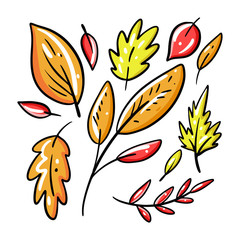 A charming collection of autumn leaves depicted in a doodle style vector illustration. Perfect for adding a touch of seasonal charm to any project or design.