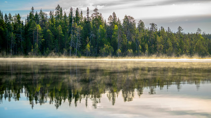 Fototapeta na wymiar Autumn with mirrored pine forest and misty Northern lake. Fog rises above the water at dawn. Finland, Scandinavia