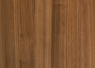 Fototapeta premium background of Walnut wood surface