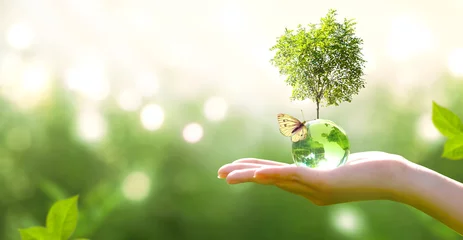 Poster Earth crystal glass globe ball and growing tree in human hand, flying butterfly on green background. Saving environment, save clean planet, ecology concept. Card for World Earth Day. © julia_arda