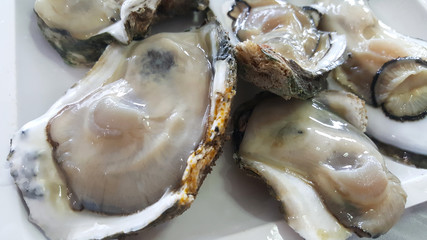 Group of Raw Fresh close up giant open oysters in a Shell serving on the white plate, Freshness seafood from fishery boat at fresh market, food backgrounds