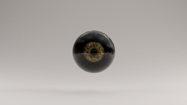 Black Human Eyeball with a Gold Iris 3d illustration 3d render