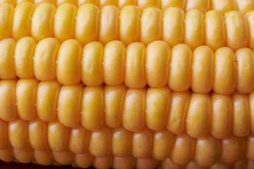 Photo of yellow corn background, abstract backgrounds, harvest season, healthy organic nutrition, maize cob, golden textured wallpaper, fresh prepared grain, tasty vegetable, vegetarian meal