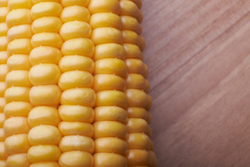 Photo of yellow corn background, abstract backgrounds, harvest season, healthy organic nutrition, maize cob, golden textured wallpaper, fresh prepared grain, tasty vegetable, vegetarian meal