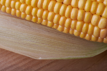Photo of yellow corn background, abstract backgrounds, harvest season, healthy organic nutrition, maize cob, golden textured wallpaper, fresh prepared grain, tasty vegetable, vegetarian meal