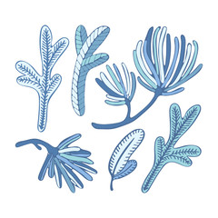 Set Christmas pine, fir tree, cedar branches sketch. Hand drawn vector drawing elements for Christmas and New Year design. Cute vintage style. Element for Christmas design