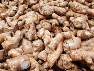 ginger background.Zingiber officinale Roscoe.Useful herbs full of vitamins and minerals.Is a plant can useable both roots, rhizomes,leaves,flowers and fruit.Ginger is a Thai herb with a spicy flavor