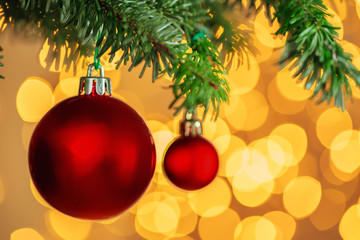 Red christmas ball hanging on fir tree branch over golden bokeh lights background