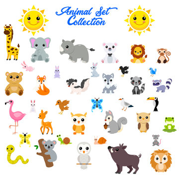 Big vector set of animals