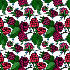 Vector Raspberry healthy food isolated. Black and white engraved ink art. Seamless background pattern.