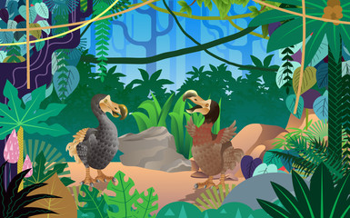 dodo birds inthe jungle in day time © เอกชัย โททับไทย