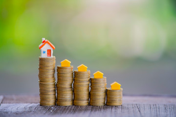 Plants and coins for watering can be used to guide financial growth 