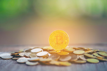 Macro shot of Gold Bitcoin Coins Cryptocurrency Digital Bit Coin BTC . Cryptocurrency trading concept.