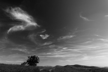 Field over an hill ,tree and deep sky with clouds