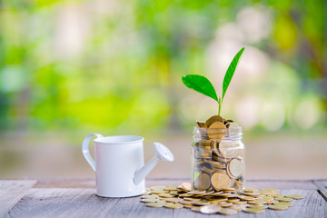 The hands of women holding watering can sprinkle coins 