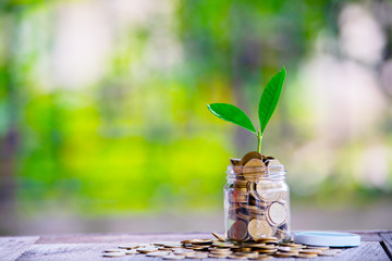 Glass jar with coins Plant seedlings grow on bottles - investment ideas for growth