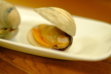 三番瀬　ホンビノス貝 千葉 船橋	 魚介 海鮮物