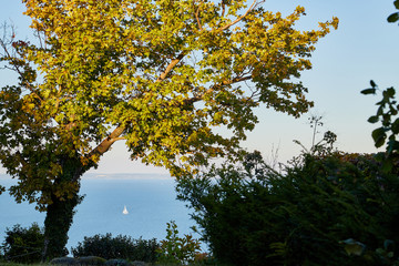 Beautiful view of the Lake Balaton from Tihany on a sunny day