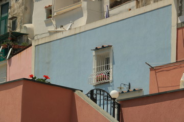 Red flowers against the backdrop of building facades in the Medi