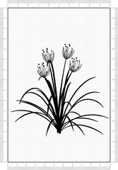 Flowers Blueprint