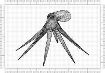 octopus Blueprint