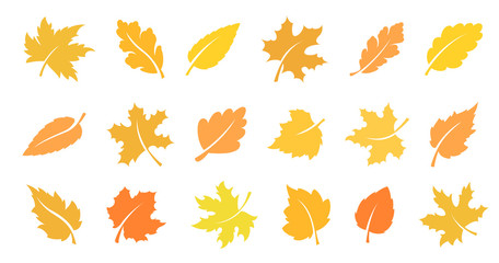Autumn leaf set