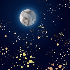 moon in the dark night