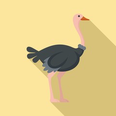 Ostrich icon. Flat illustration of ostrich vector icon for web design