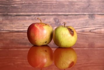 Wormy apples on a table