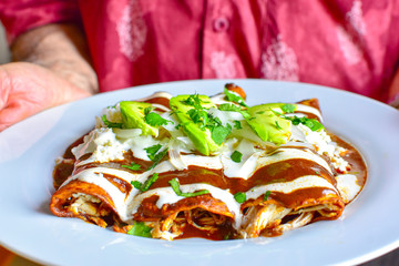 Delicious enchiladas of mole with cheese