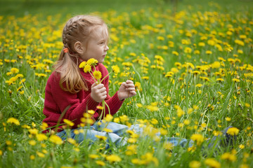 Little girl and meadow with dandelions. Summer day outdoors