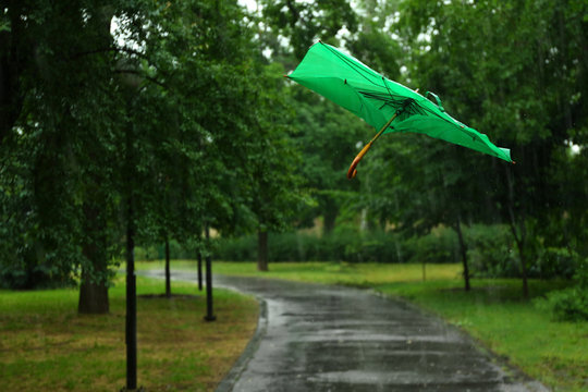 Broken green umbrella in park on rainy day