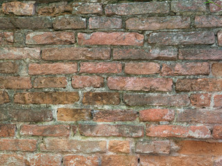 old red brick wall with green ivy