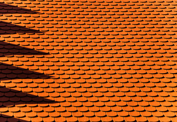 Tejado tipico de las casas en la selva negra