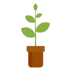 Plant pot icon. Flat illustration of plant pot vector icon for web design