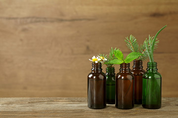 Glass bottles of different essential oils with plants on table. Space for text