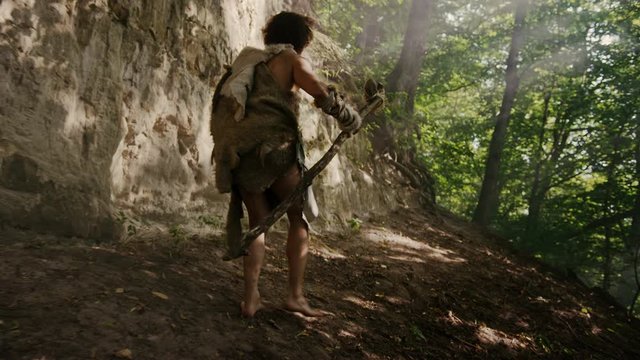Primeval Caveman Wearing Animal Skin Holds Stone Tipped Hammer Looks Around, Exploring Prehistoric Forest, Ready to Hunt Animal Prey. Neanderthal Going Hunting into Jungle. Following Back View Shot
