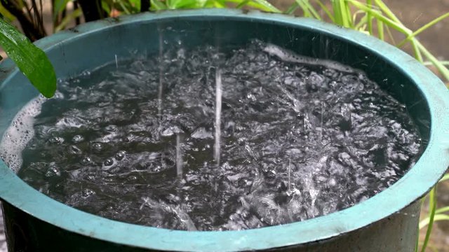 Rainwater fills full blue rainwater tank