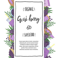 Acai berry illustrations set