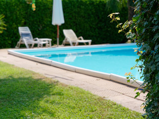 pool with blue water among the green oasis