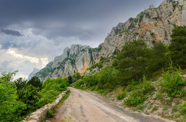 Fototapeta na wymiar Old mountain road in forest near the cliffs