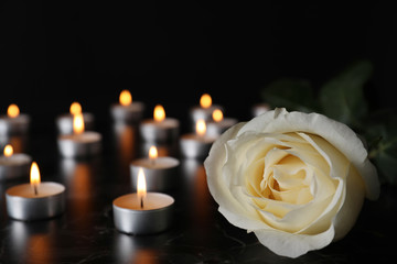 Fototapeta na wymiar White rose and blurred burning candles on table in darkness, closeup with space for text. Funeral symbol