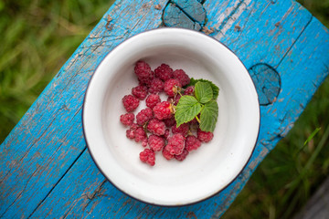 Ripe raspberry with leaf in old retro plate