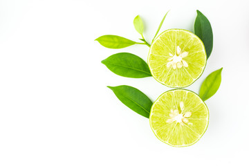 top view of fresh juicy sliced lime with green leaves on white background and copy space for text.